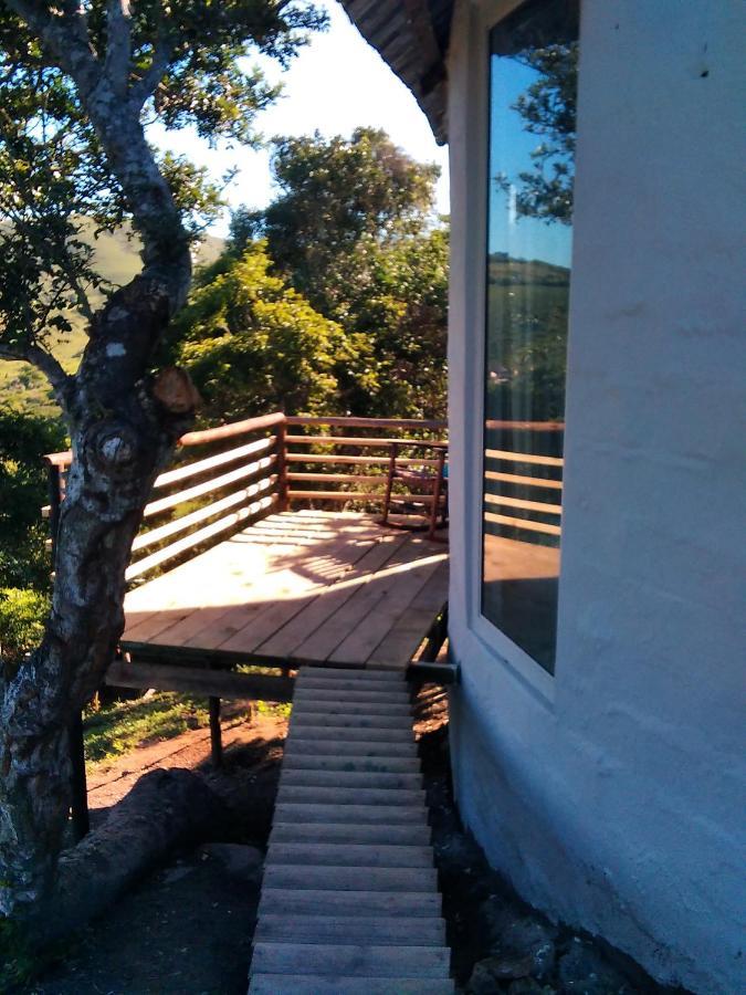 Wildview Self Catering Cottages Coffee Bay, Breakfast & Wi-Fi Inc Esterno foto