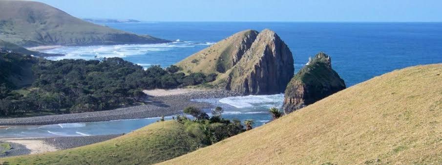 Wildview Self Catering Cottages Coffee Bay, Breakfast & Wi-Fi Inc Esterno foto