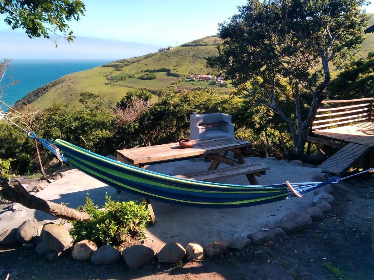 Wildview Self Catering Cottages Coffee Bay, Breakfast & Wi-Fi Inc Esterno foto